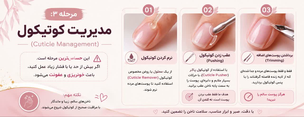 مدیریت کوتیکول (Cuticle Management)
